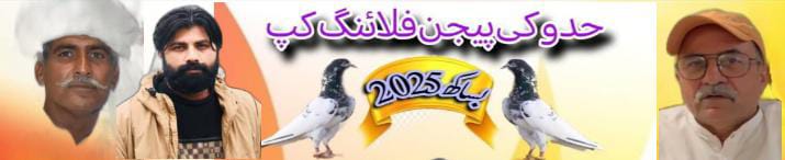 حدو کی پیجن فلائنگ کپ