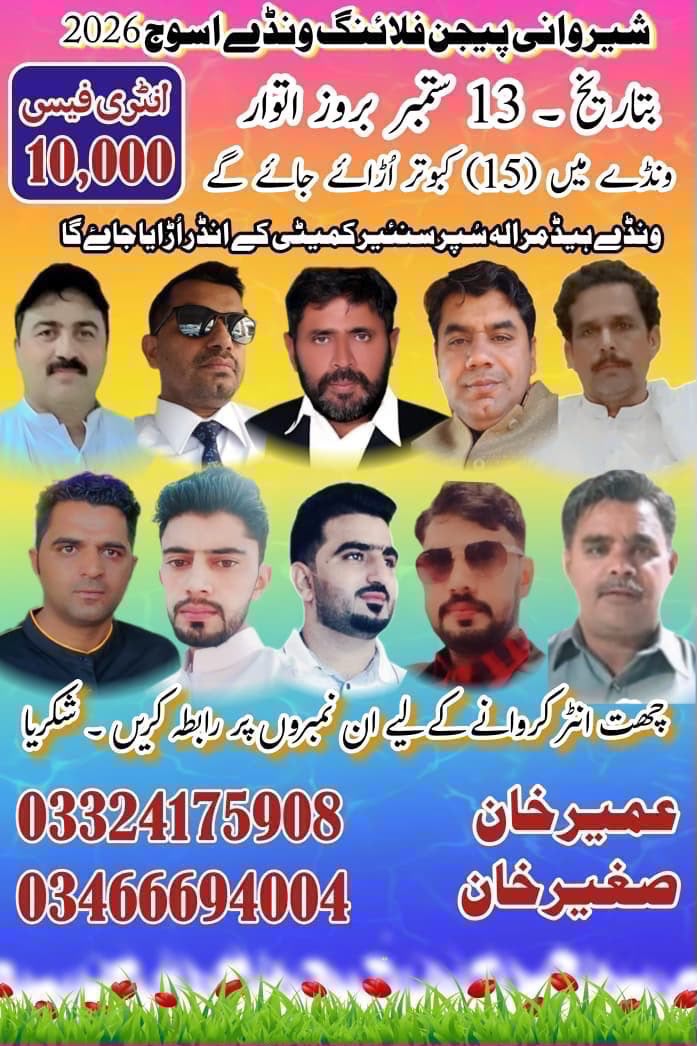 شیروانی پیجن فلائنگ ونڈے اسوج 2026