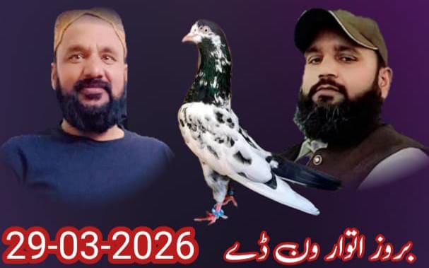 ونڈے ٹورنامنٹ پگھل 11 کبوتروں کا